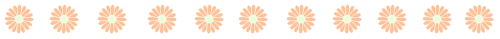 ؂C[W