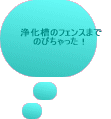 򉻑̃tFX܂ ̂тI